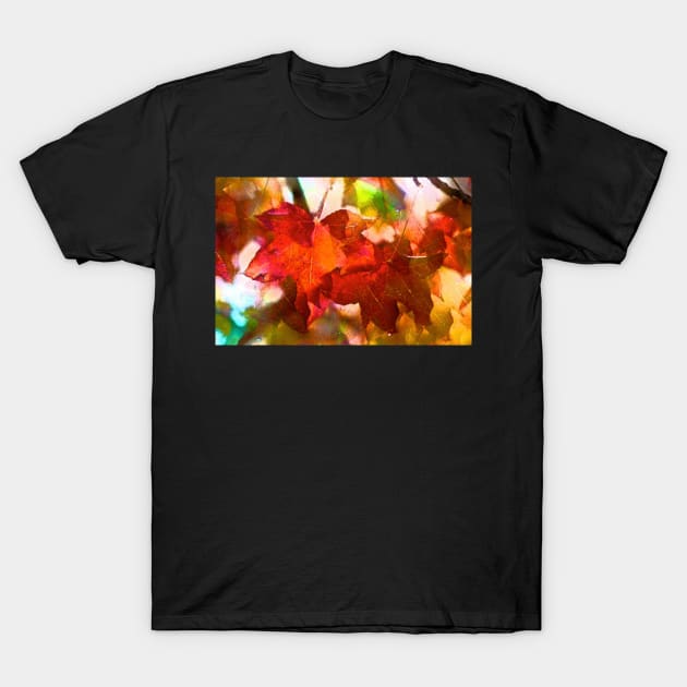 Together T-Shirt by secretgardener